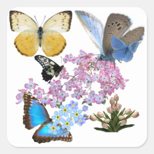 Sticker Carré Fleurs Et Papillons : Une nouvelle biggénération