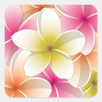 Sticker Carré Fleurs frangipani/Plumeria