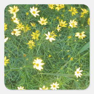 Sticker Carré Fleurs jaunes minuscules avec la verdure