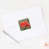 STICKER CARRÉ FLEURS POPPY (Enveloppe)