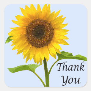 Sticker Carré Fleurs Remerciements Jaune Tournesol Fleur Mariage