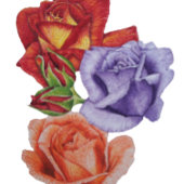 Sticker Carré fleurs roses rouges et bourgeons roses fleuristes