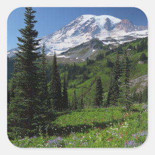 Sticker Carré Fleurs sauvages chez le mont Rainier
