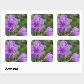 Sticker Carré Fleurs sauvages de géranium collant (Feuille)