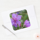 Sticker Carré Fleurs sauvages de géranium collant (Enveloppe)