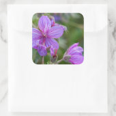 Sticker Carré Fleurs sauvages de géranium collant (Sac)