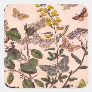 Sticker Carré Fleurs sauvages vintages d'illustrations florales