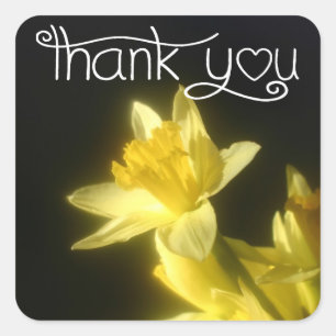 Sticker Carré Floral Merci Jaune Daffodique Fleur Noir