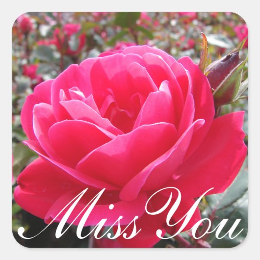 Sticker Carré Floral Miss You Rose Fleur (Devant)