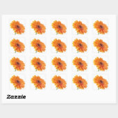 Sticker Carré Floral Orange Gerbera Daisy Fleur de mariage (Feuille)