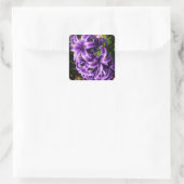 Sticker Carré Flore de printemps Blue Hyacinth II (Sac)