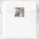 Sticker Carré Floride Panther (Sac)