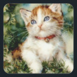 Sticker Carré Fluffy christmas cat Watercolor<br><div class="desc">cat christmas kitten,  painting vintage little artistic ,  lovely baby illustration fashion,  joy pretty paint xmas,  adorable head beautiful scarf,  winter color feline tree,  cute fluffy cartoon sketch ,  watercolor celebration holiday funny,  year happy draft art,  christmas cat kitten animal</div>
