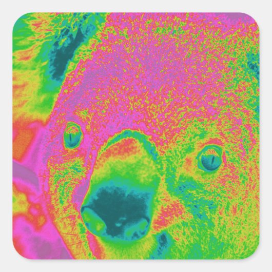 Sticker Carré fluorescent koars bears (Devant)