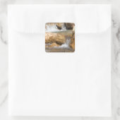 Sticker Carré Flux orageux au printemps (Sac)