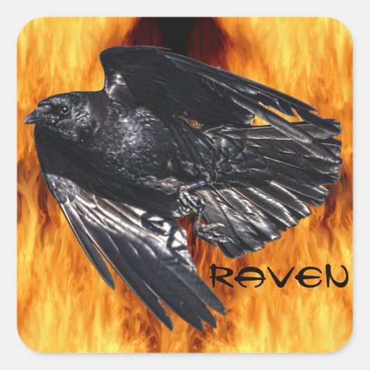 Sticker Carré Flying Black Raven & Flames Design photo 7 (Devant)