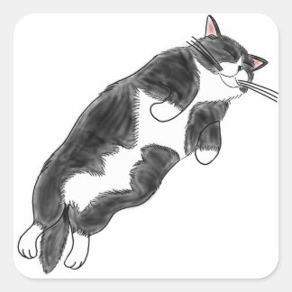Sticker Carré FooFooCat: Lazy Jumbo Tuxedo Cat