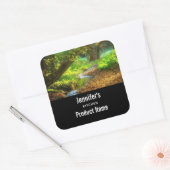 Sticker Carré Forest Creek Belle nature Photo Cuisine (Enveloppe)