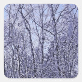 Sticker Carré Forêt à Twilight (Devant)