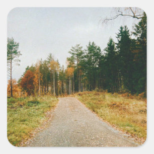 Sticker Carré Forêt automnale suédoise