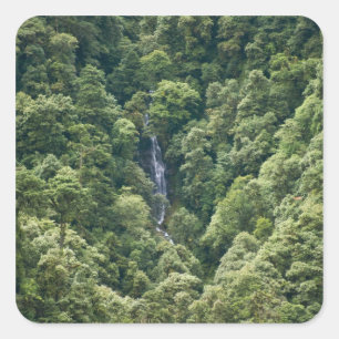 Sticker Carré Forêt de l'Himalaya dans la vallée de Mangdue, Bho