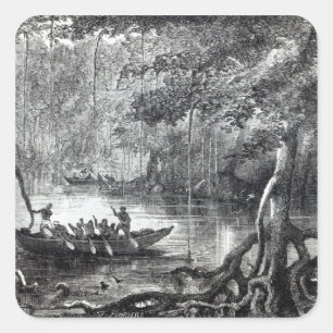 Sticker Carré Forêt de mangrove