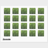 Sticker Carré Forêt en bambou (Feuille)