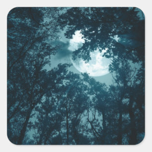 Sticker Carré Forêt nocturne enchanteresse avec Pleine lune