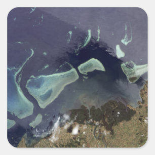 Sticker Carré Forêt verte profonde sur terre