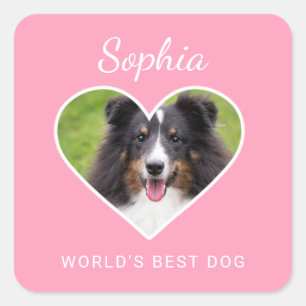 Sticker Carré Forme de cœur photo de chien personnalisée sur fon
