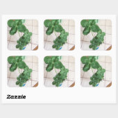 Sticker Carré Four leaf clovers (Feuille)