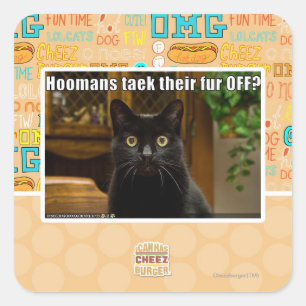 Sticker Carré Fourrure de Hoomans Taek là ?