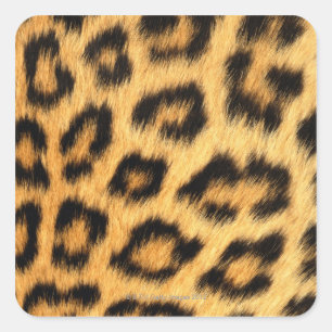 Sticker Carré Fourrure Jaguar