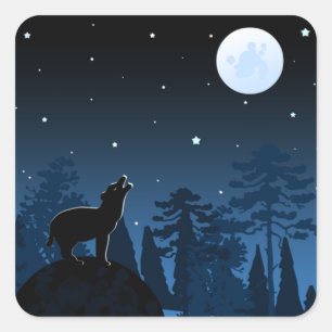 Sticker Carré Fox Et Pleine lune À Minuit