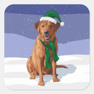 Sticker Carré Fox Red Labrador Retriever Chien de Noël