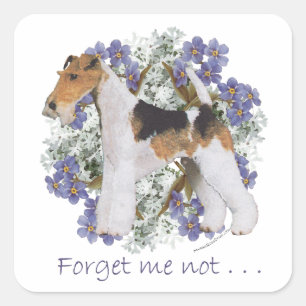 Sticker Carré Fox-Terrier à poil dur Myosotis