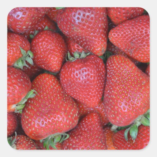 Sticker Carré Fraises rouges fraîches (Devant)