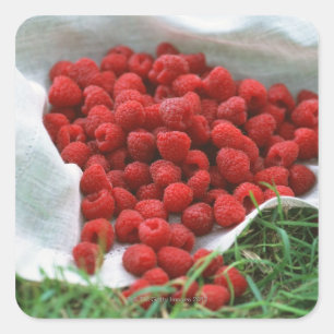 Sticker Carré Framboise