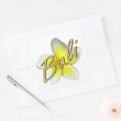 Sticker Carré Frangipani Blossom (Enveloppe)