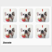 Sticker Carré French Bulldog Looking (Feuille)