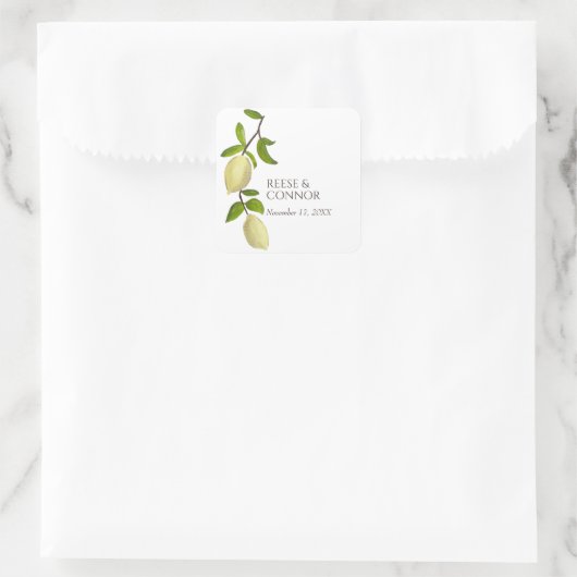 Sticker Carré Fresh Citrus Painted Lemons Modern Mediterranean (Sac)