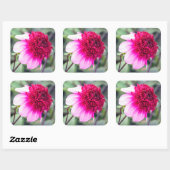Sticker Carré Frilly Pink et Magenta Dahlia (Feuille)