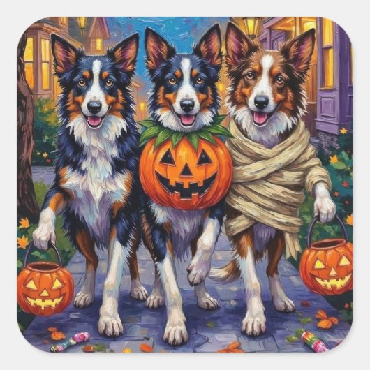 Sticker Carré Frontière Collie Chiens Trick-or-Treating à Hallow (Devant)