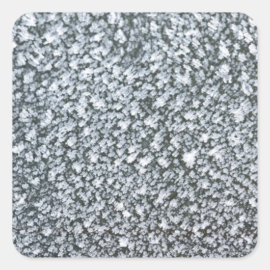 Sticker Carré frost closeuser on (Devant)