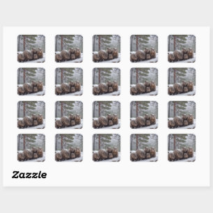 Sticker Carré Frozen Burrow : famille australienne Wombat
