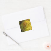 Sticker Carré Fruit durian (Enveloppe)