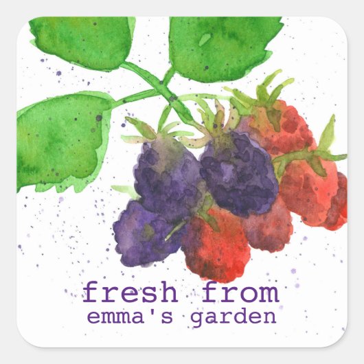 Sticker Carré Fruits De Blackberry Frais Du Jardin De (Devant)