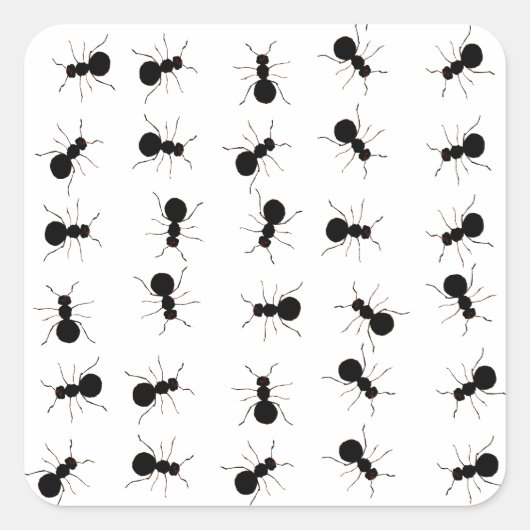 Sticker Carré Fun Black Ant Bug (Devant)
