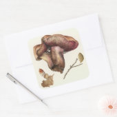 Sticker Carré Fungus (Enveloppe)