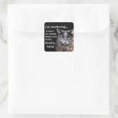 Sticker Carré Funny Cat est Nocturne Evil Laugh (Sac)